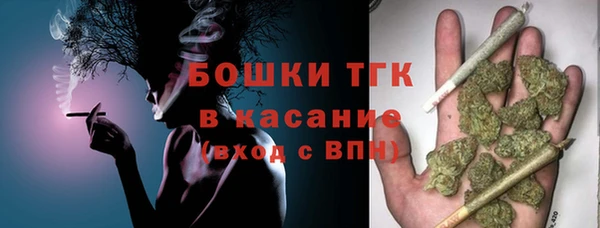 гашик Алексеевка