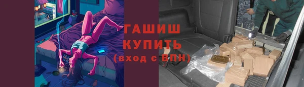 гашик Алексеевка