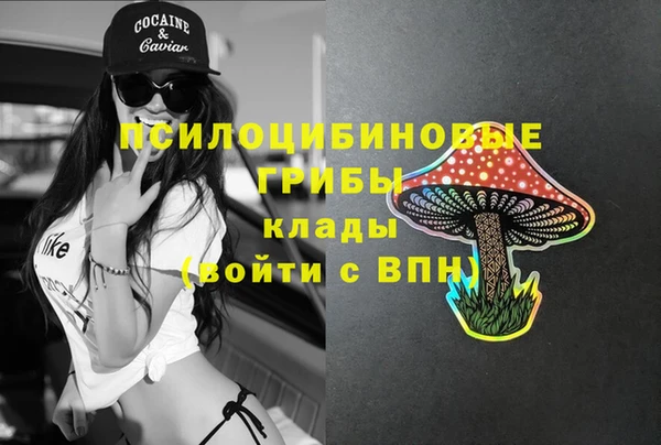 гашик Алексеевка