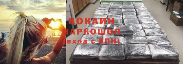 гашик Алексеевка