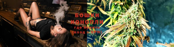 молекула духа Алзамай