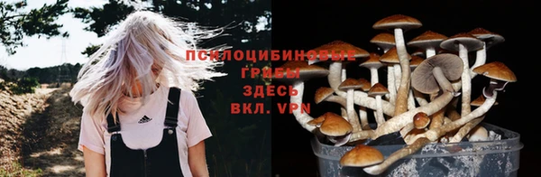 молекула духа Алзамай