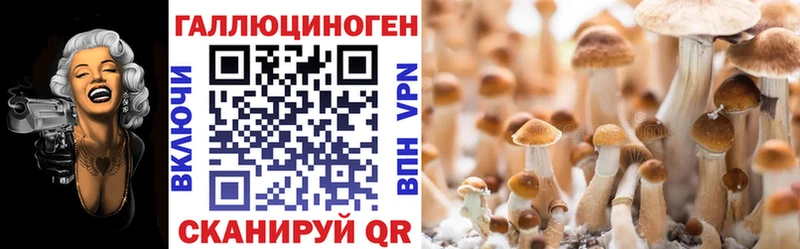 продажа наркотиков  Любань  Псилоцибиновые грибы прущие грибы 
